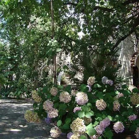 Hotel Dubrava Budva
