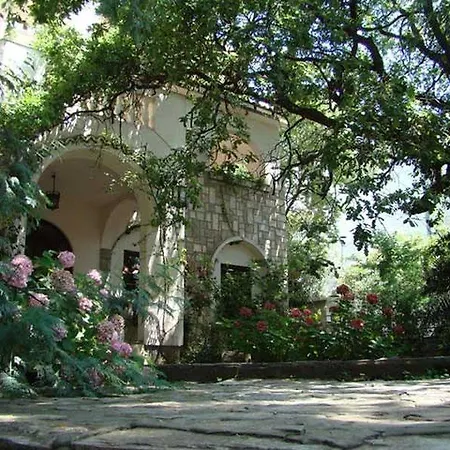 Готель Dubrava 3*